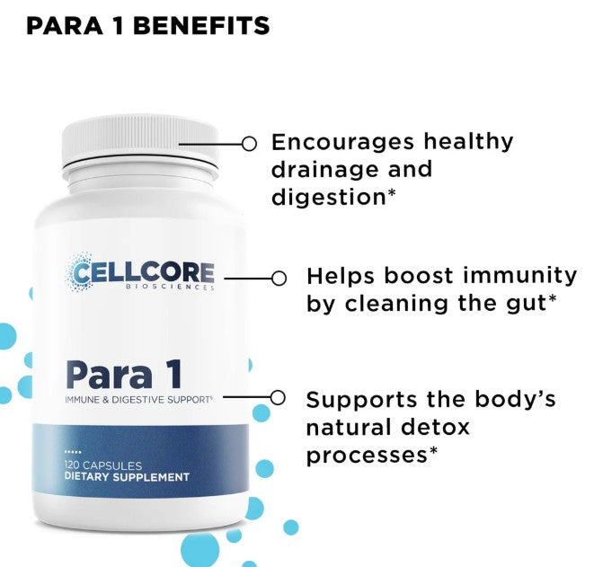 CellCore Biosciences Phase 2: Gut & Immune Support