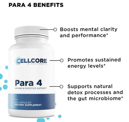 CellCore Biosciences Stomach Support Kit